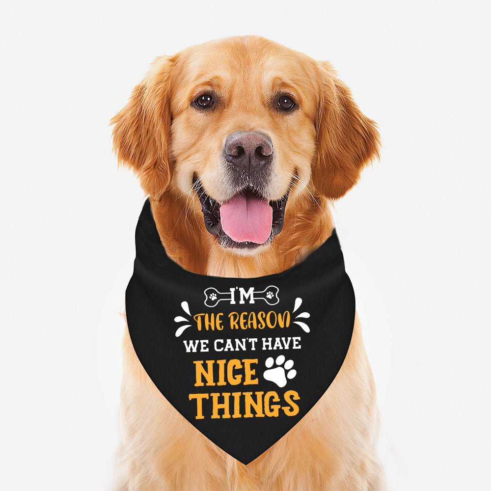 I'm The Reason - Dog Bandana