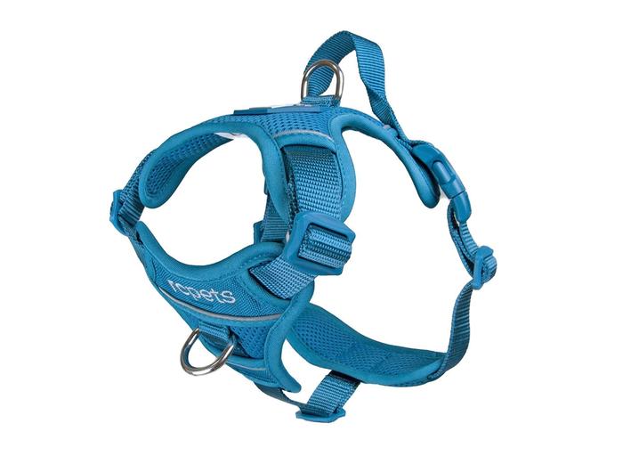 RC pets - Momentum Control Harness Dark Teal