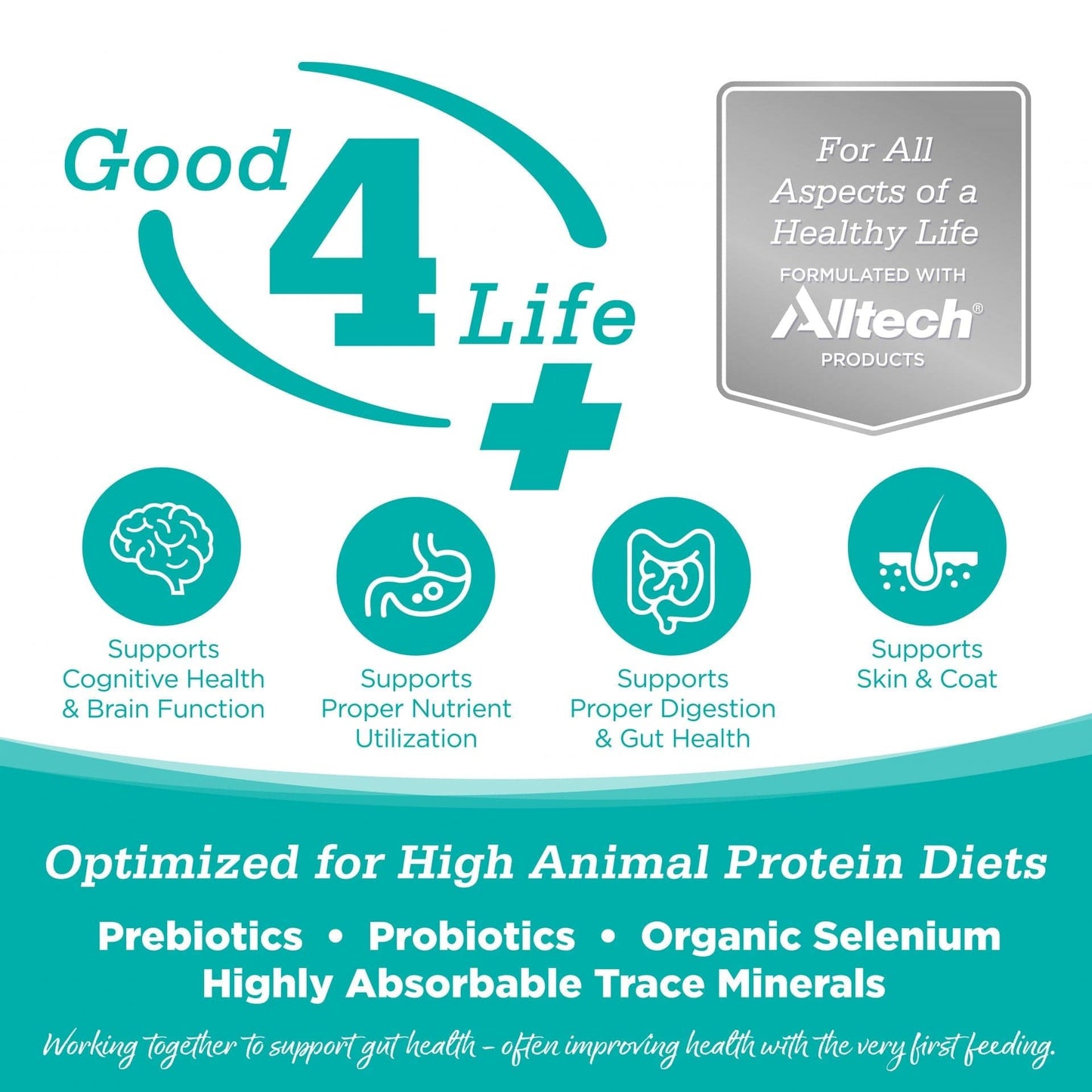 NutriSource Element Series Classic Catch Recipe Dry Cat Food