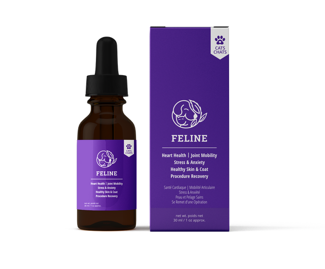 Reelax Feline Supplement