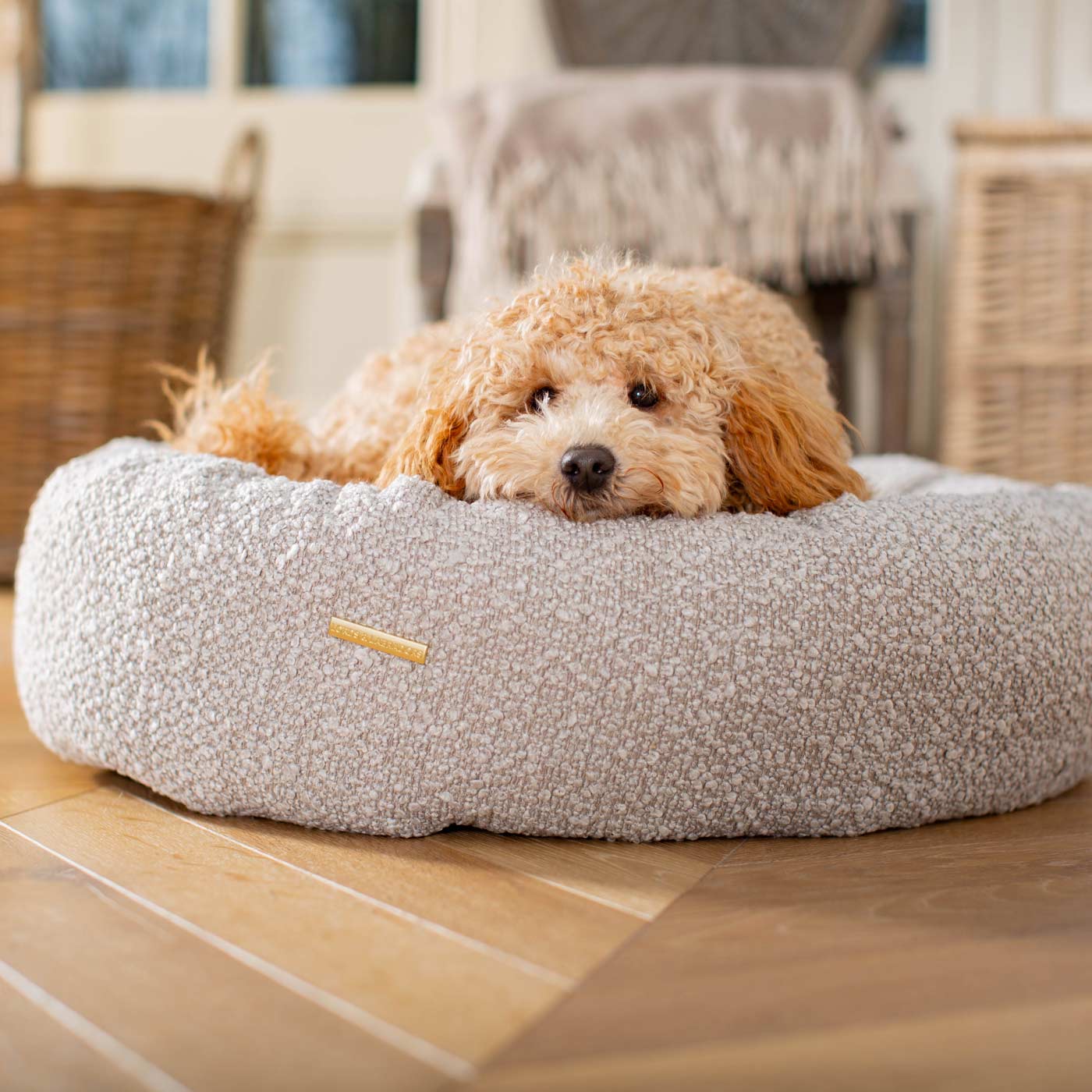 Discover Our Handmade Luxury Donut Dog Bed, In Mink Bouclé, The Perfect Choice For Puppies Available Now at Lords & Labradors