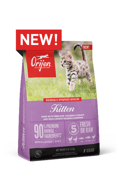 ORIJEN Kitten Grain Free Dry Cat Food