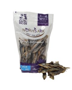 Noah’s Ark Capelin
