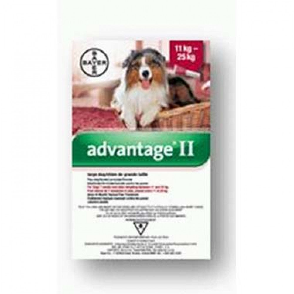 Advantage II Dog
