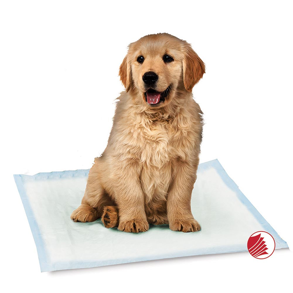 Smart Pet Love - Training Pads