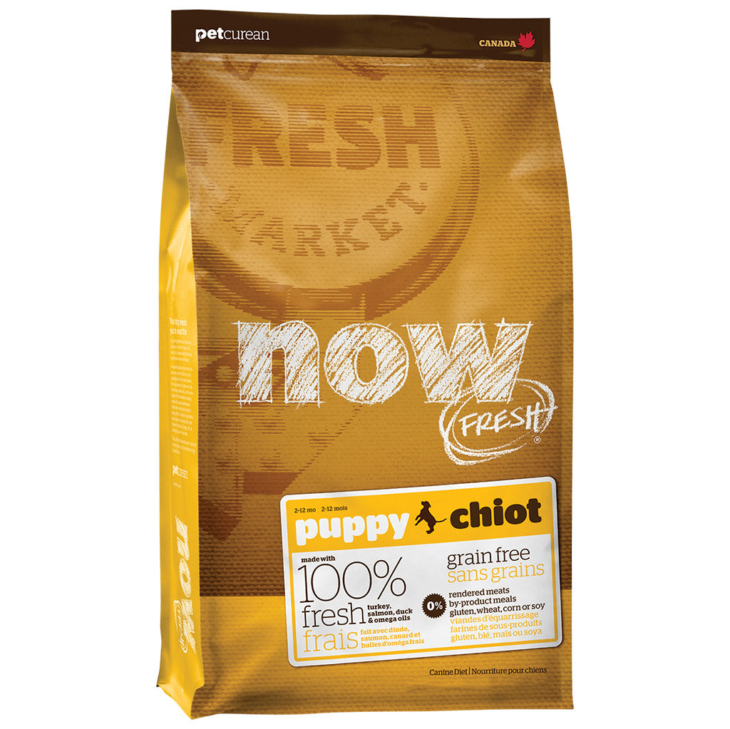 Now Fresh Dog Grain Free Dog Kibble
