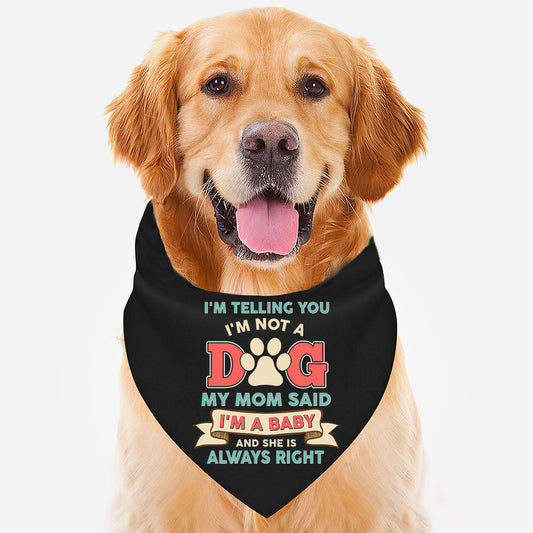 I'm A Baby - Dog Bandana