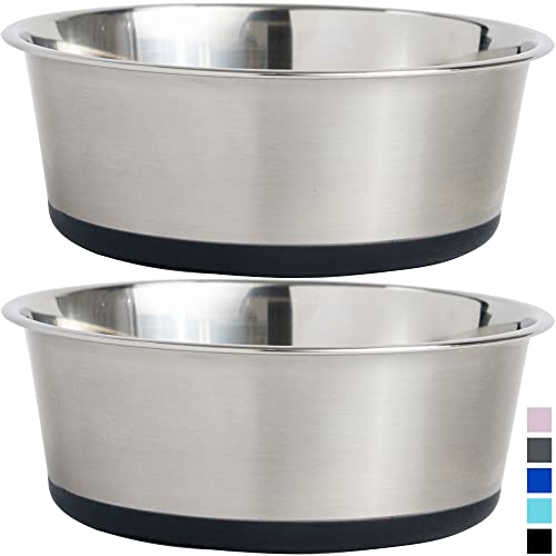Stainless Steel Metal Dog Bowl Set of 2