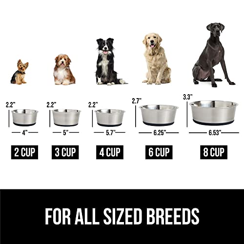 Stainless Steel Metal Dog Bowl Set of 2