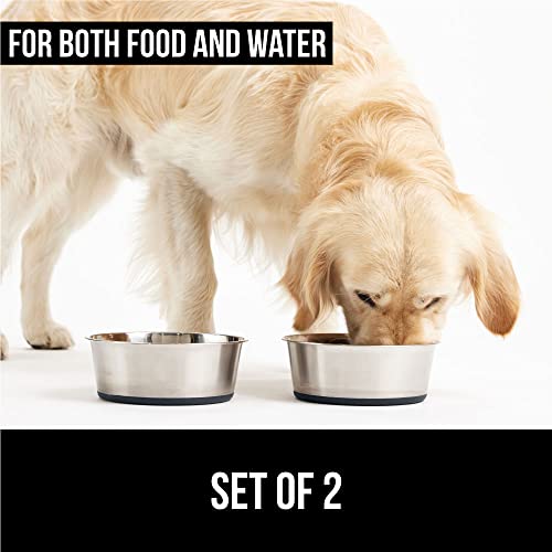 Stainless Steel Metal Dog Bowl Set of 2