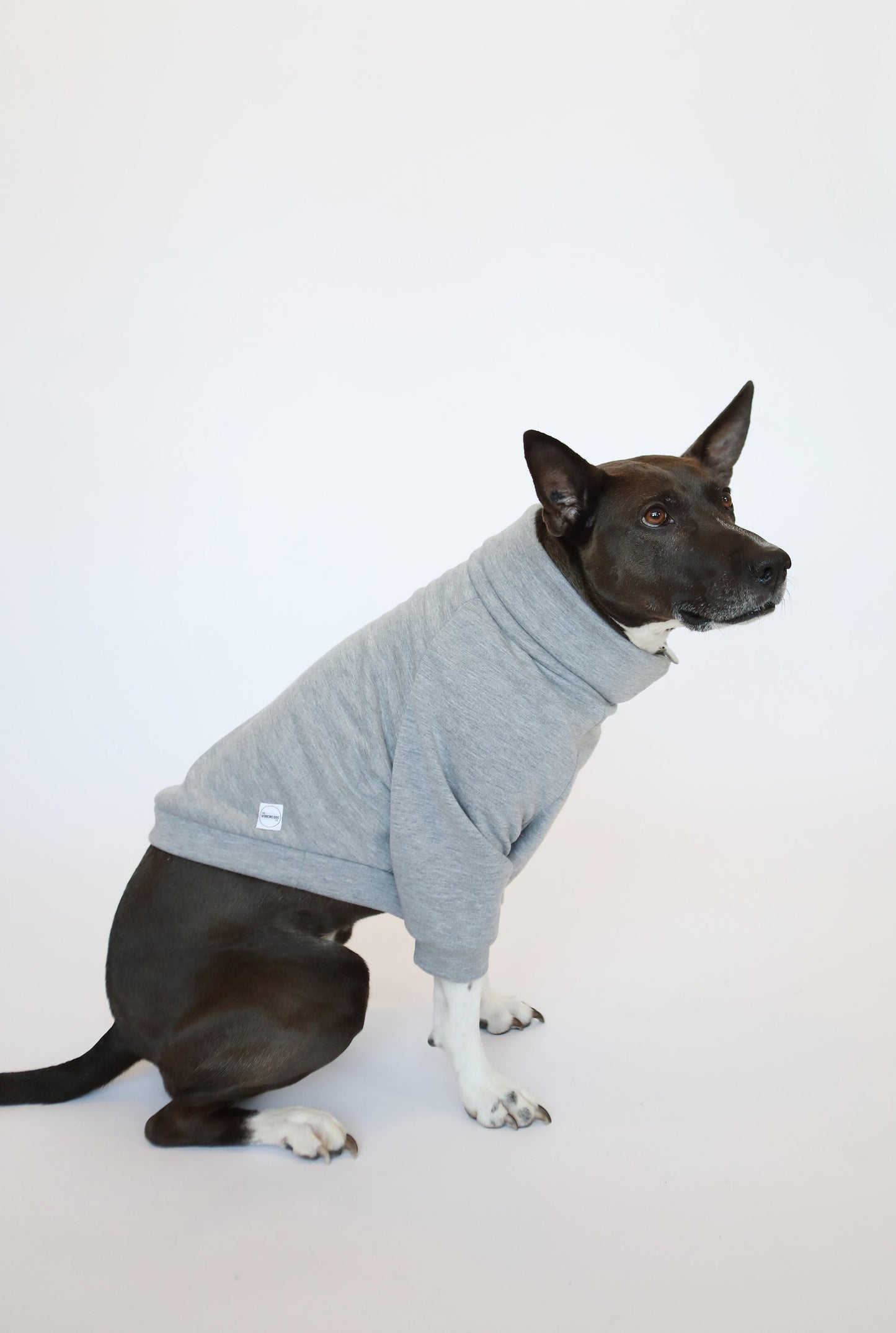 Working Dog Bluto Sweatshirt - Grey