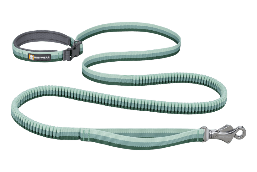 Ruffwear Roamer Bungee Dog Leash in River Rock Green