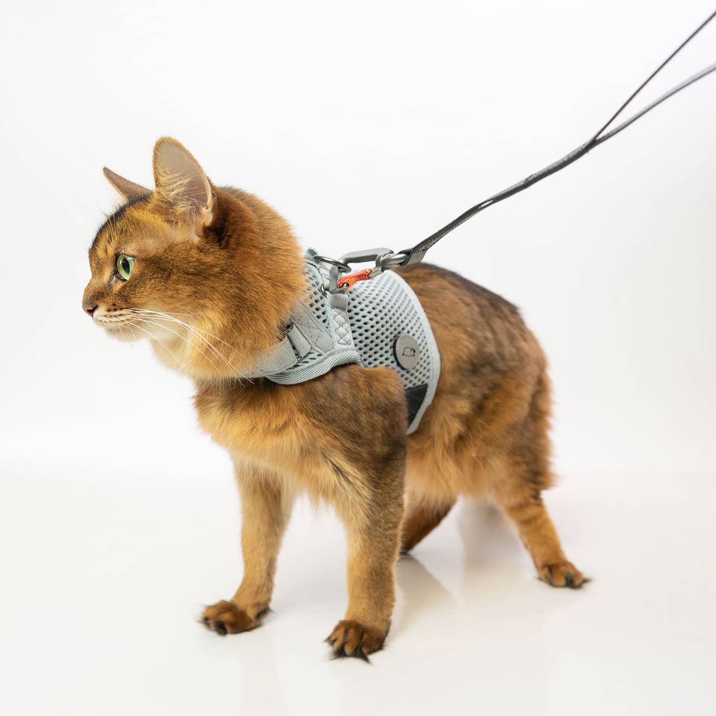Sleepypod Martingale Cat Harness