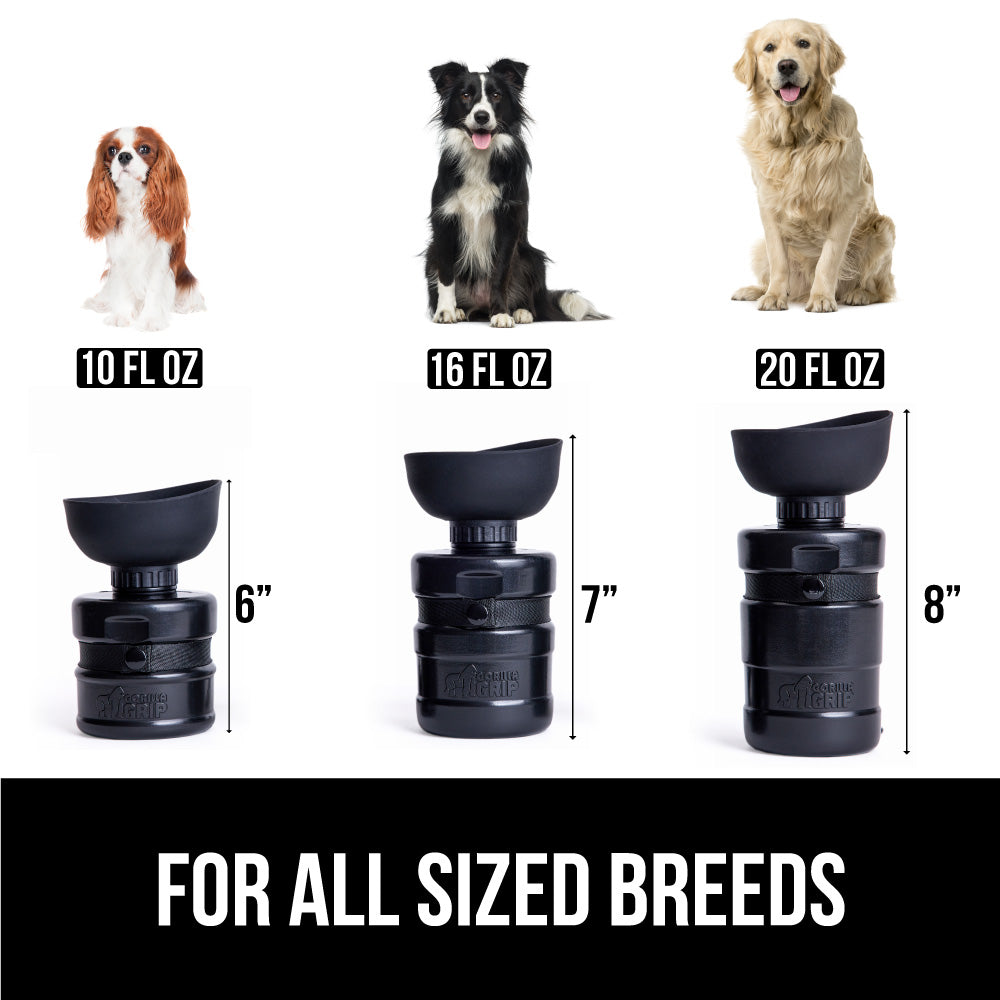 Leakproof 2 in 1 Design Portable Dog Water Bottle