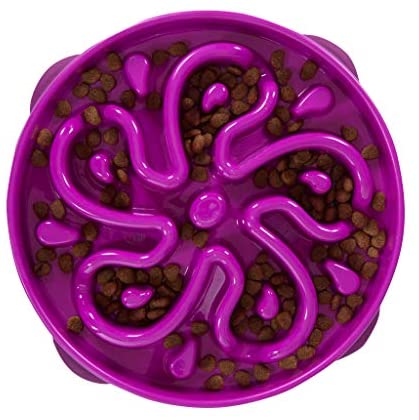 Outward Hound Fun Feeder Slo Bowl Large Flower Purple