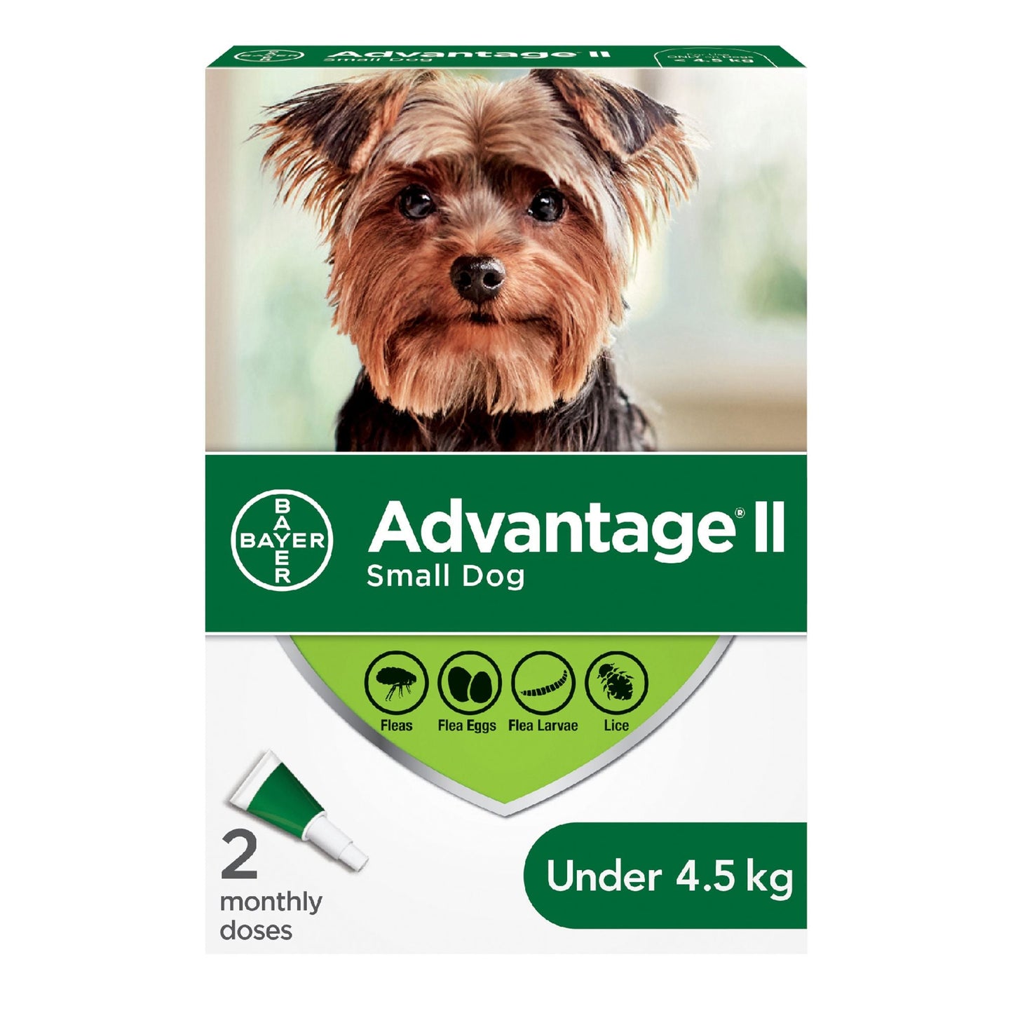 Advantage II Dog