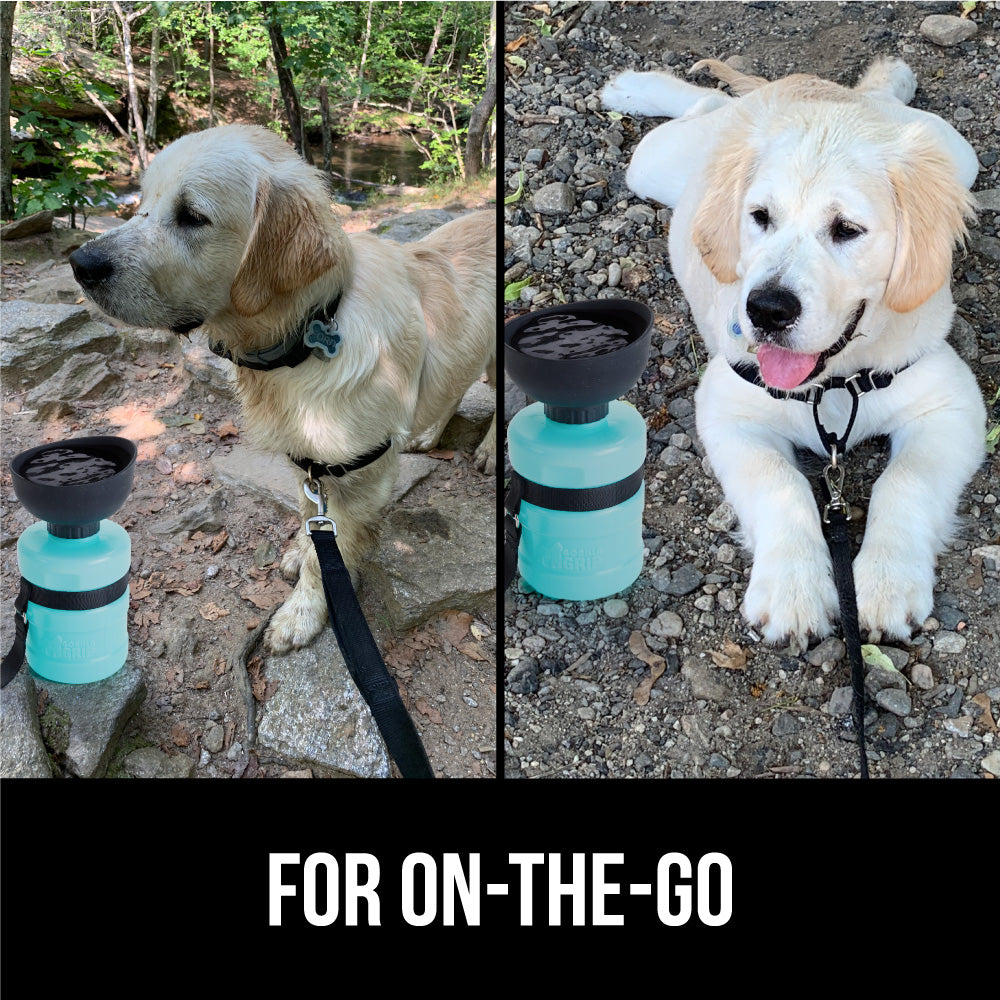 Leakproof 2 in 1 Design Portable Dog Water Bottle