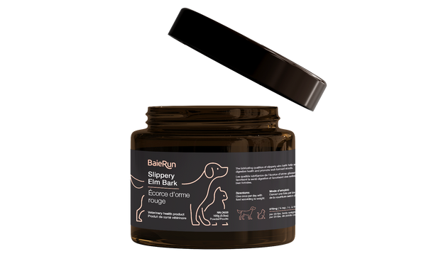 Baie Run Slippery Elm