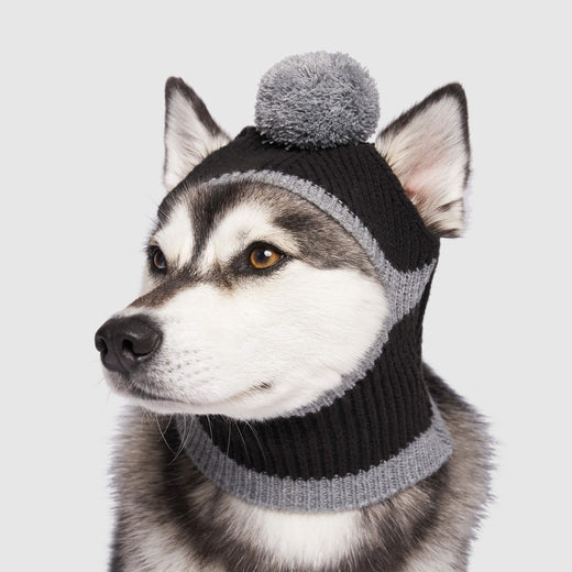 Canada Pooch Bandit Hat