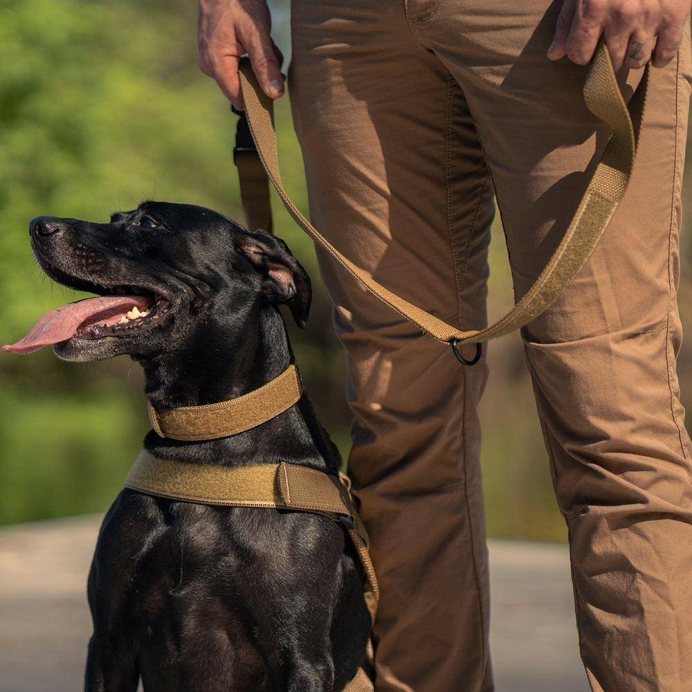 Grunt Style Quick Release Coyote Dog Leash | Grunt Style