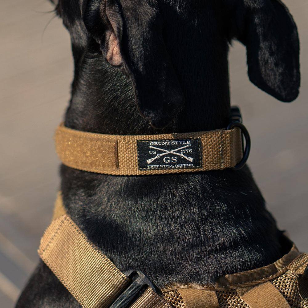 Tan Dog Collar | Grunt Style