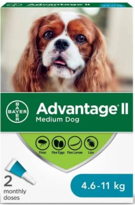 Advantage II Dog