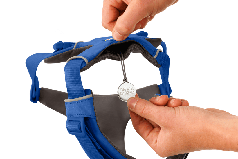 Ruffwear Front Range Dog Harness in Blue Pool