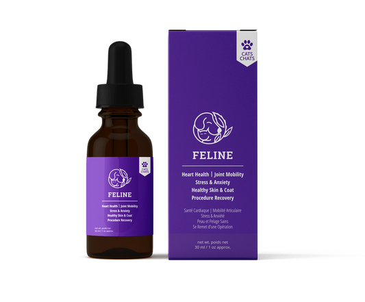 Reelax Feline Supplement