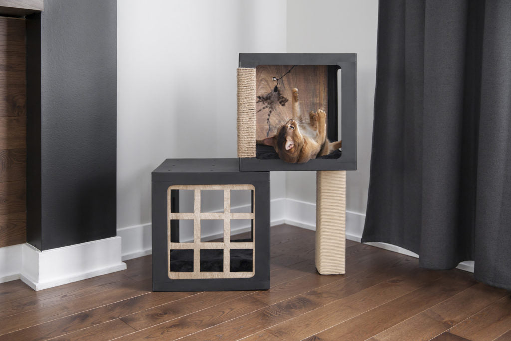 Be One Breed Habikatt