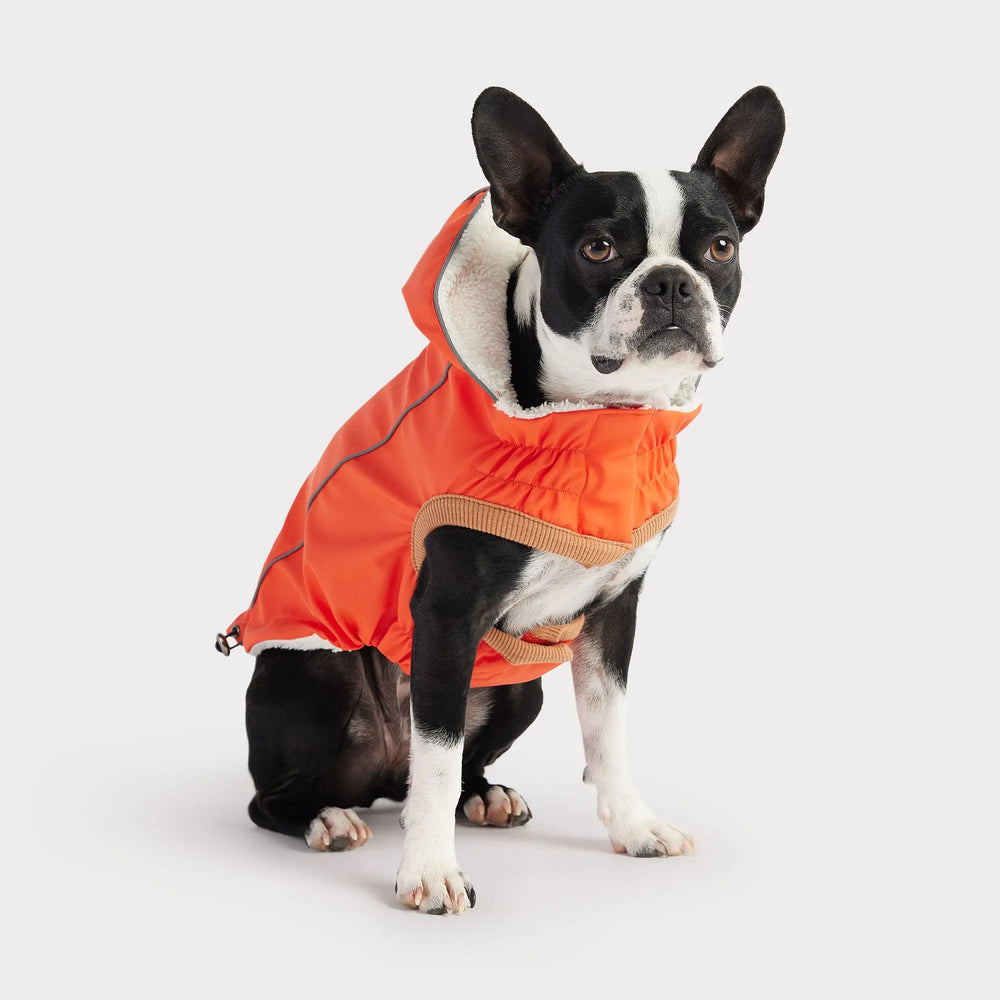 GF Pet Insulated Dog Raincoat
