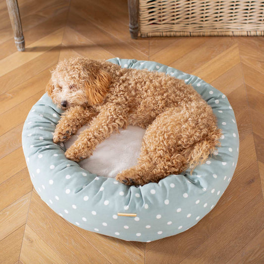 Discover Our Handmade Luxury Donut Dog Bed, In Duck Egg Spot, The Perfect Choice For Puppies Available Now at Lords & Labradors
