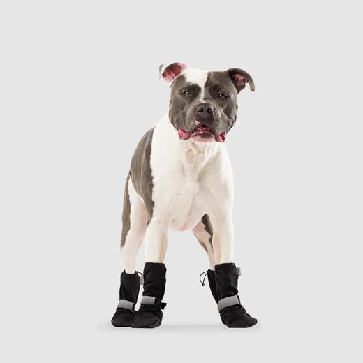 Canada Pooch - Soft Shield Boot Black