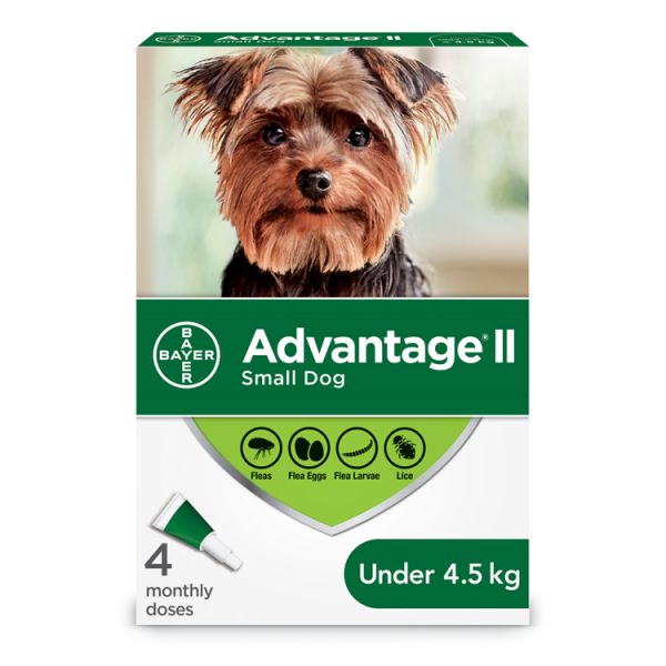 Advantage II Dog