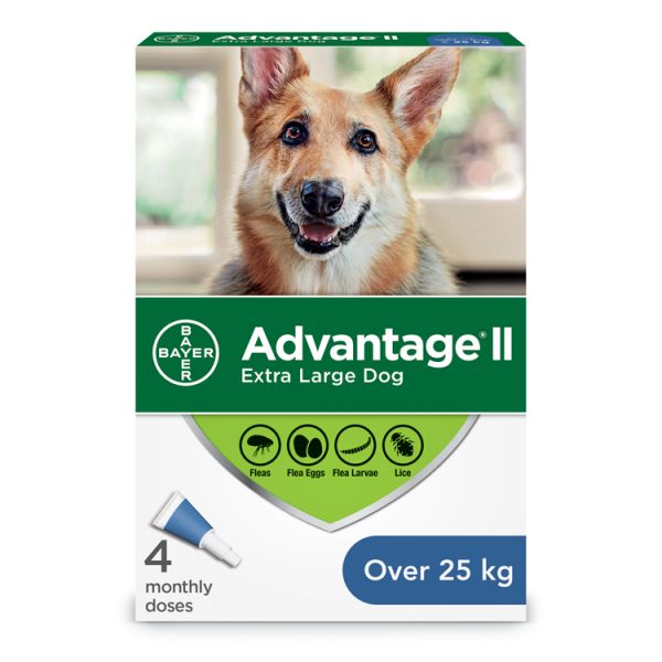 Advantage II Dog
