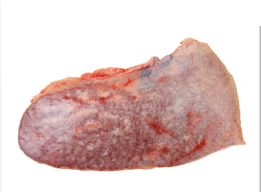 Bulk Beef Spleen approx 30 lbs. (Pickup Only)