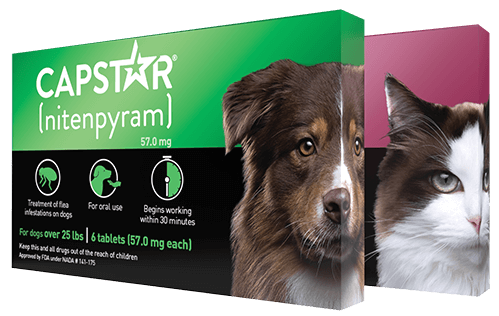 Capstar Oral Flea Treatment