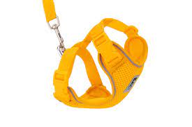 RC Pets - Adventure Kitty Harness w/ Lead Marigold
