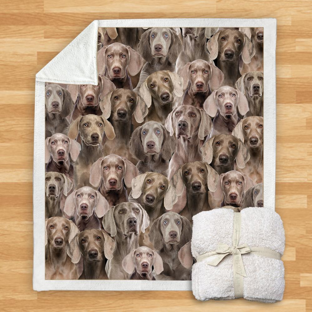Pet Printed Flannel Blanket