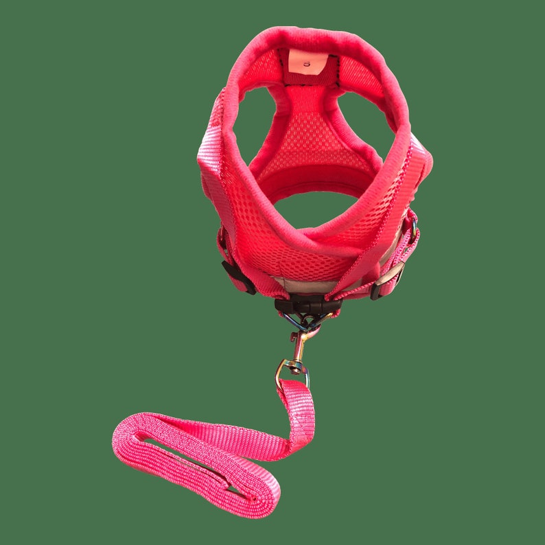 "The Purrfectly Pink" Iridescent Limited-Edition Harness & Leash Set 